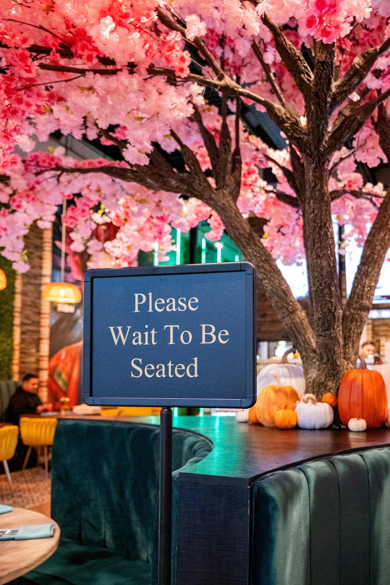 The blossom tree beside the host stand at Casa Jardín